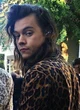 Harry styles - 2015