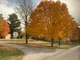 graves field