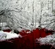 Sangre con nieve-2