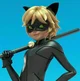 Cat noir