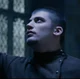 Viktor Krum 