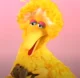 Big Bird