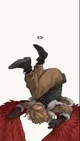 Hawks