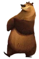 Boog The Bear