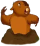 Topo