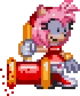 Amy Rose