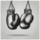 Boxing journey 