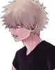 Katsuki Bakugo 