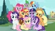 Mlp RP