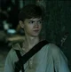 Newt 