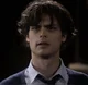 Spencer reid MLM