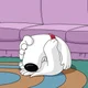 Brian Griffin