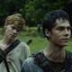 Maze Runner Boys