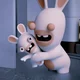 Rabbids