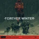 The Forever winter 