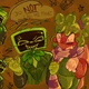 Vee - sprout -DW-