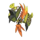 Tapu Koko