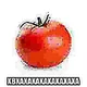 TOMATE ALPHA