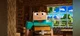 Steve Minecraft 