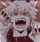 Bakugou katsuki 