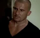 Lincoln Burrows