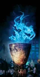 Goblet of fire