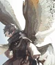 Harpy