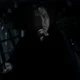 Severus Snape 