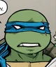 IDW Leonardo 