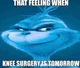 Blue grinch