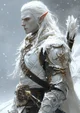 An Elven Commander