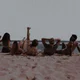 Outer banks