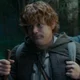 Samwise Gamgee