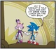 Sonic and Blaze