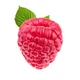 Raspberry