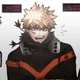 Pro Hero Bakugo