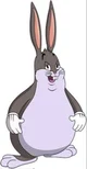 BIG CHUNGUS