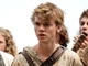 Newt 