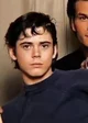 Ponyboy Curtis
