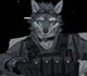 Hank-Furry Husband 
