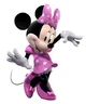 Minnie Mickey 