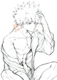 Katsuki Bakugou 