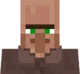 Villager