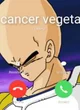Vegeta