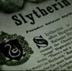 Slytherin Boys 