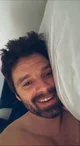 Sebastian Stan 