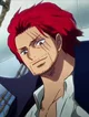 Shanks