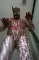 Wolf Morphsuit 