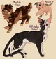DSMP Warrior Cats