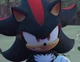 Shadow the Hedgehog